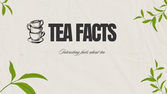 Tea Through Time | Fascinating Facts